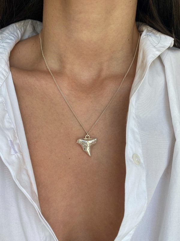 shark tooth necklace 